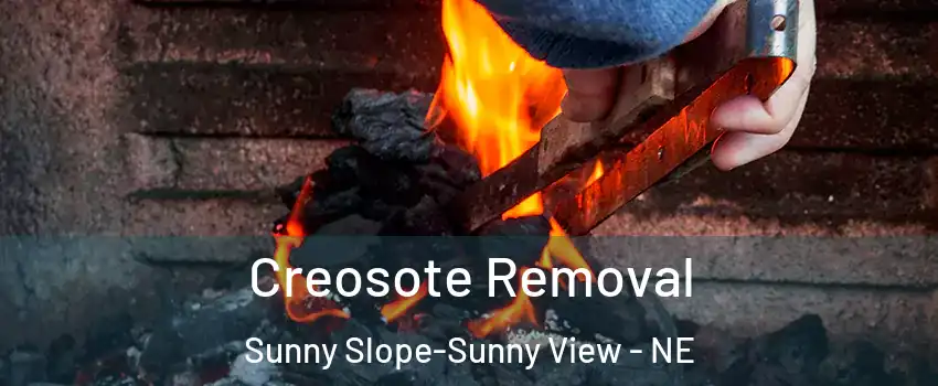 Creosote Removal Sunny Slope-Sunny View - NE