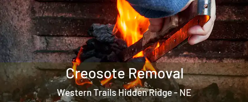 Creosote Removal Western Trails Hidden Ridge - NE