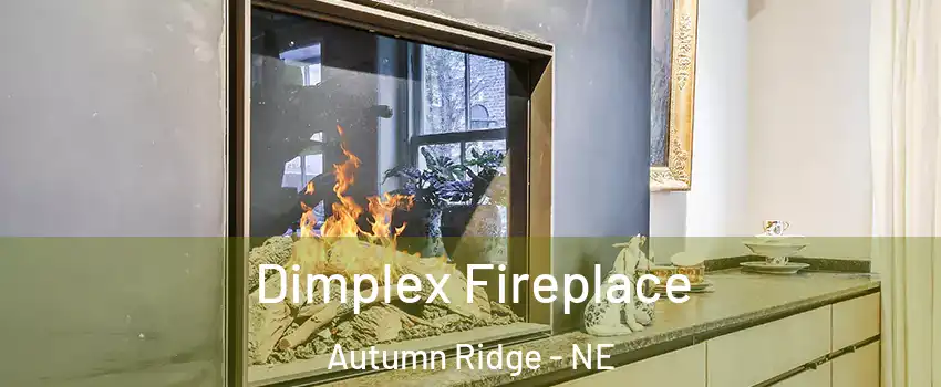 Dimplex Fireplace Autumn Ridge - NE