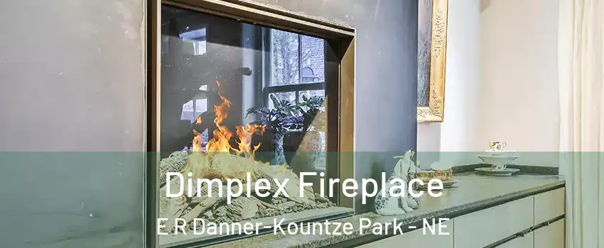 Dimplex Fireplace E R Danner-Kountze Park - NE