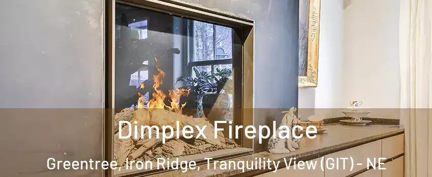 Dimplex Fireplace Greentree, Iron Ridge, Tranquility View (GIT) - NE