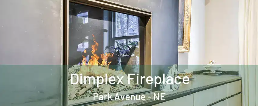 Dimplex Fireplace Park Avenue - NE