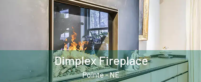 Dimplex Fireplace Pointe - NE