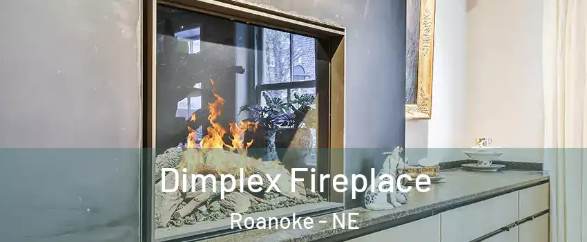 Dimplex Fireplace Roanoke - NE