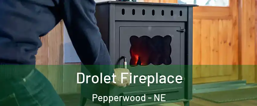 Drolet Fireplace Pepperwood - NE