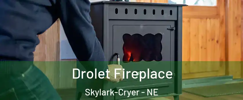 Drolet Fireplace Skylark-Cryer - NE