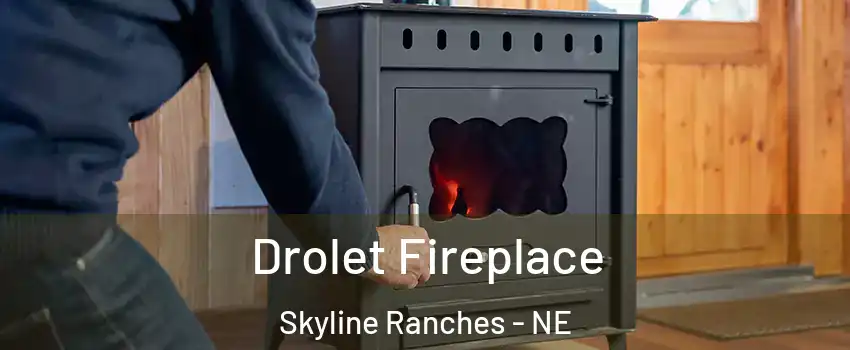 Drolet Fireplace Skyline Ranches - NE