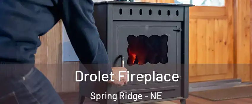 Drolet Fireplace Spring Ridge - NE