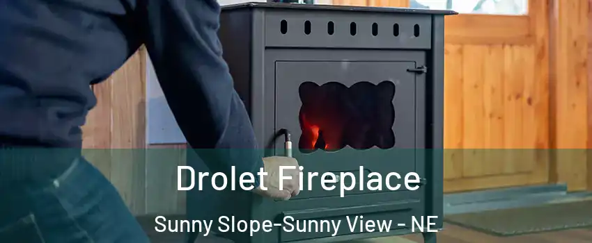 Drolet Fireplace Sunny Slope-Sunny View - NE