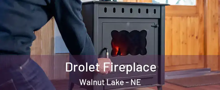 Drolet Fireplace Walnut Lake - NE