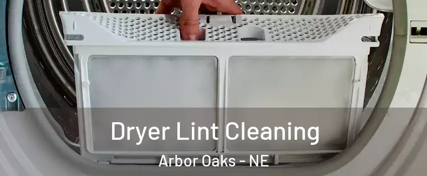 Dryer Lint Cleaning Arbor Oaks - NE