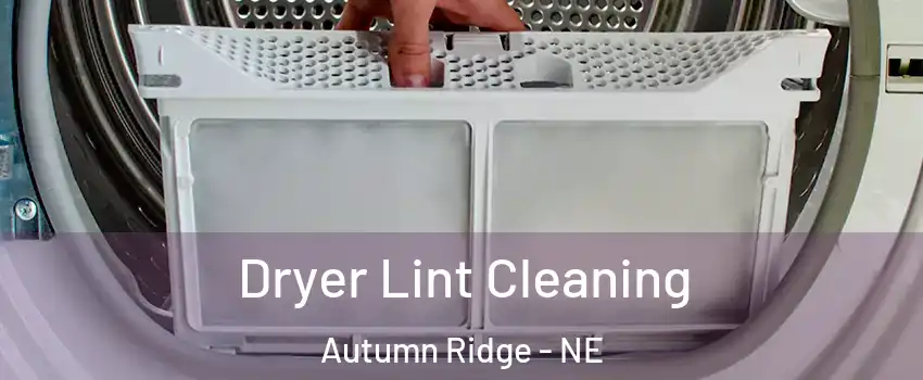 Dryer Lint Cleaning Autumn Ridge - NE