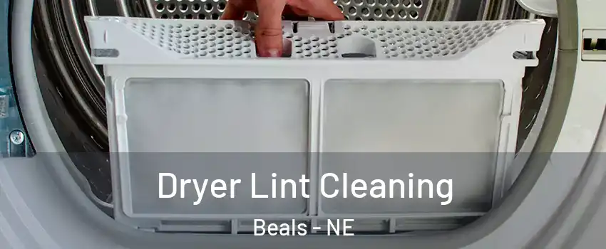 Dryer Lint Cleaning Beals - NE
