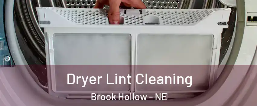 Dryer Lint Cleaning Brook Hollow - NE