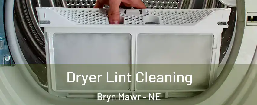 Dryer Lint Cleaning Bryn Mawr - NE