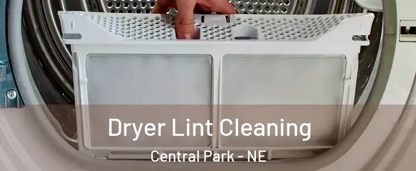 Dryer Lint Cleaning Central Park - NE