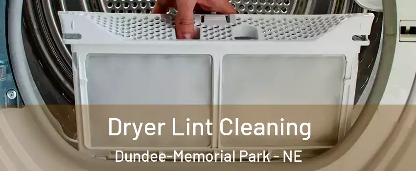 Dryer Lint Cleaning Dundee-Memorial Park - NE
