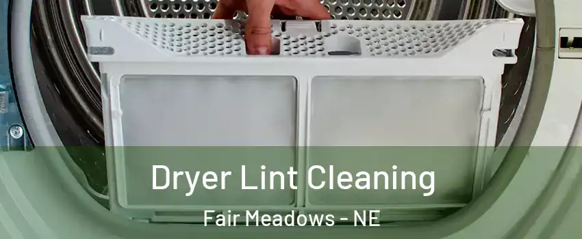 Dryer Lint Cleaning Fair Meadows - NE