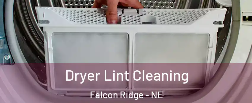 Dryer Lint Cleaning Falcon Ridge - NE