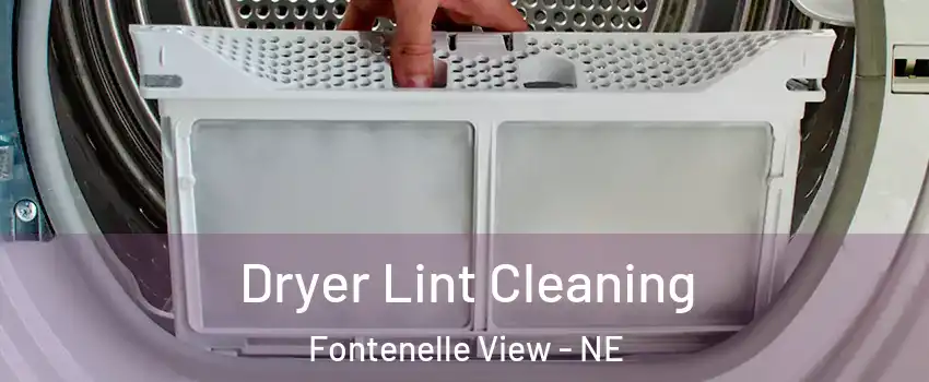 Dryer Lint Cleaning Fontenelle View - NE
