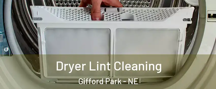 Dryer Lint Cleaning Gifford Park - NE