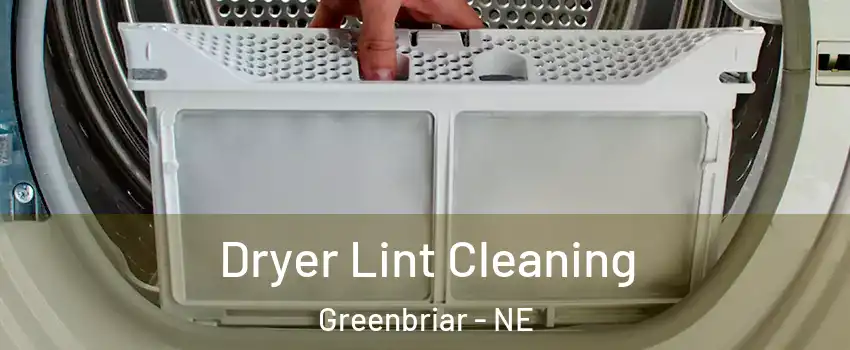 Dryer Lint Cleaning Greenbriar - NE