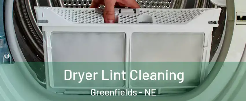Dryer Lint Cleaning Greenfields - NE