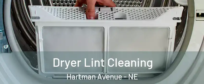 Dryer Lint Cleaning Hartman Avenue - NE