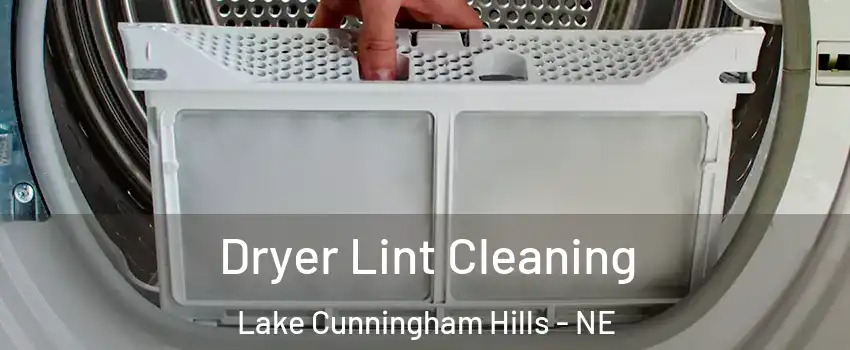 Dryer Lint Cleaning Lake Cunningham Hills - NE