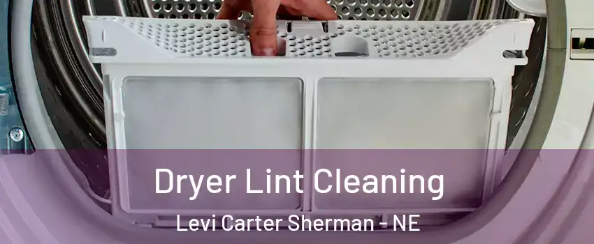 Dryer Lint Cleaning Levi Carter Sherman - NE