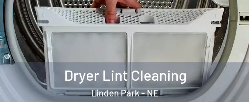 Dryer Lint Cleaning Linden Park - NE