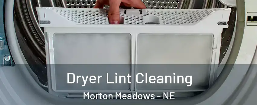 Dryer Lint Cleaning Morton Meadows - NE