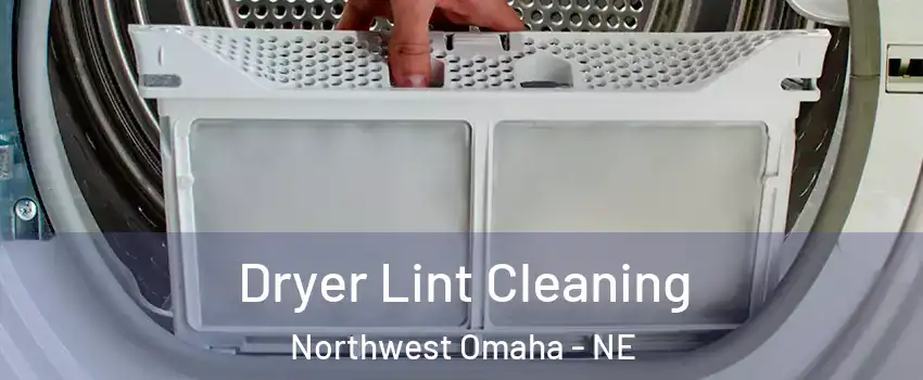 Dryer Lint Cleaning Northwest Omaha - NE