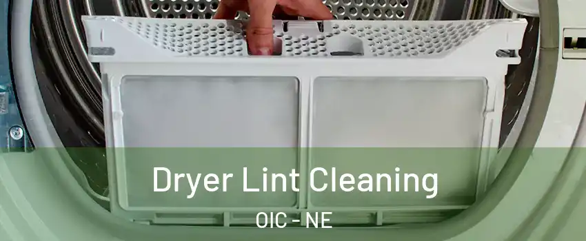 Dryer Lint Cleaning OIC - NE