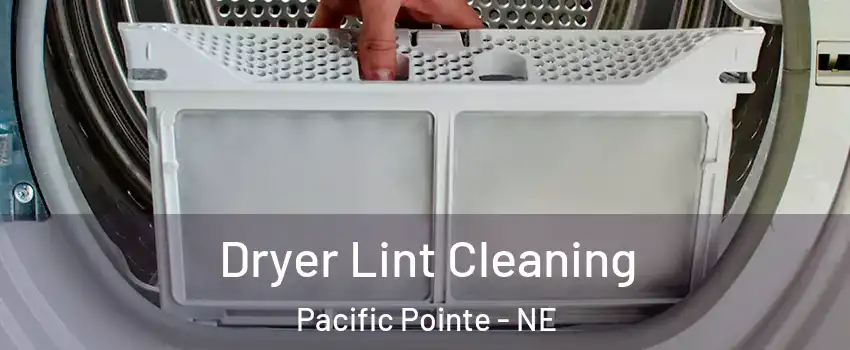 Dryer Lint Cleaning Pacific Pointe - NE