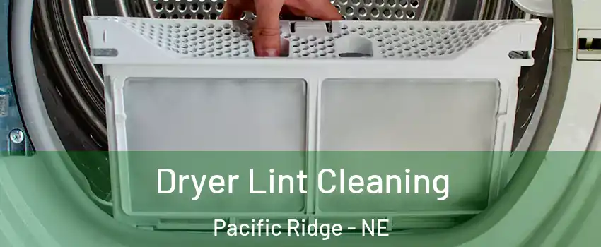 Dryer Lint Cleaning Pacific Ridge - NE