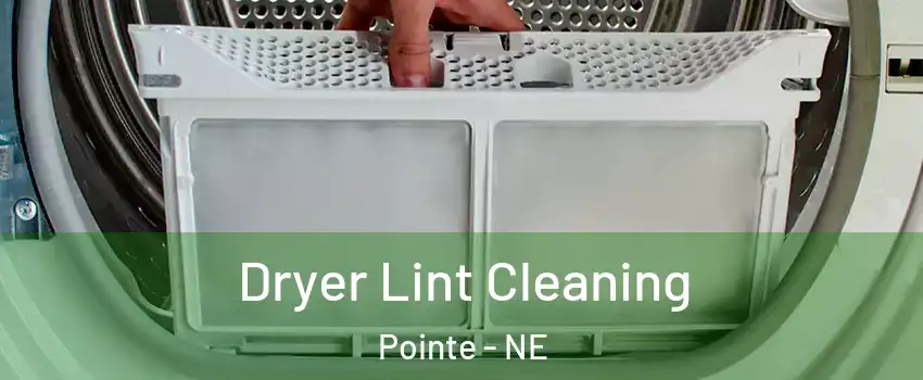 Dryer Lint Cleaning Pointe - NE