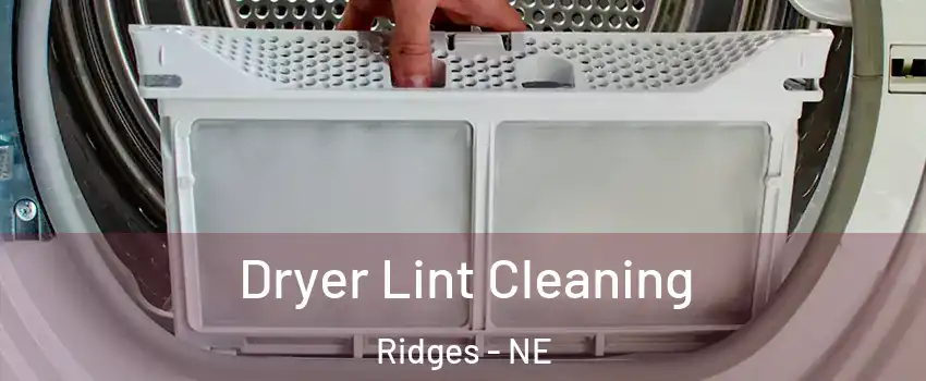 Dryer Lint Cleaning Ridges - NE