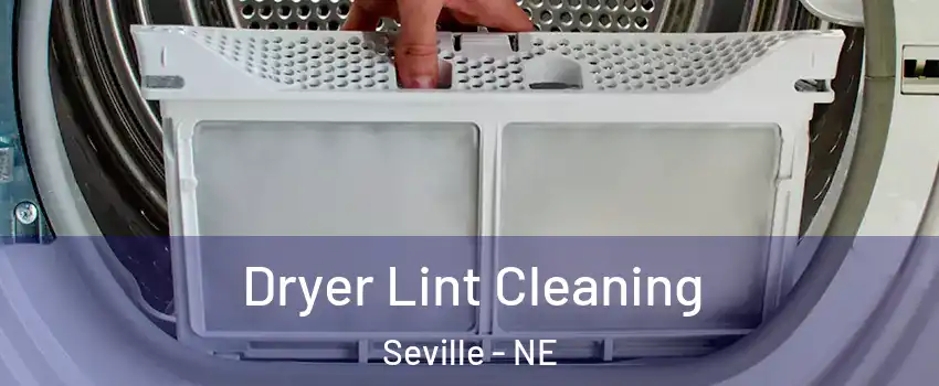 Dryer Lint Cleaning Seville - NE
