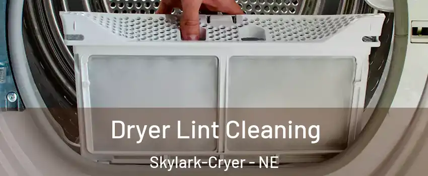 Dryer Lint Cleaning Skylark-Cryer - NE