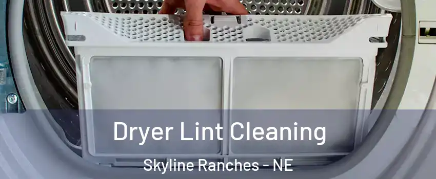 Dryer Lint Cleaning Skyline Ranches - NE