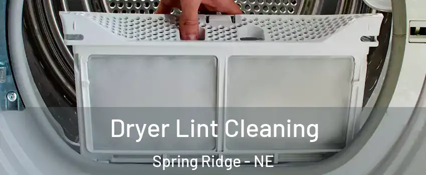 Dryer Lint Cleaning Spring Ridge - NE
