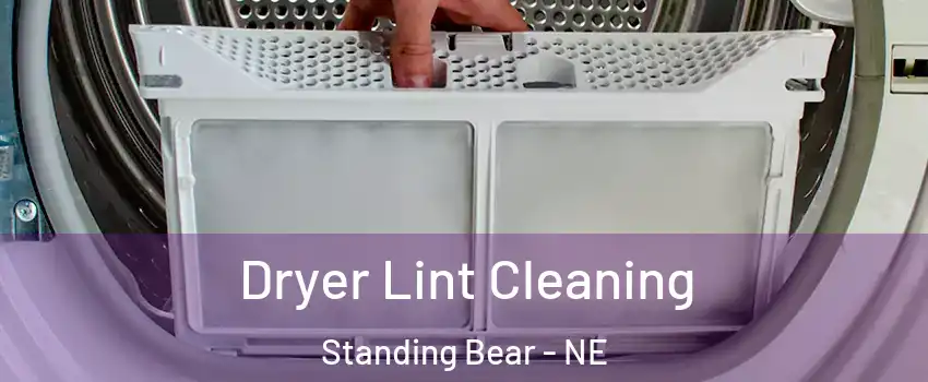 Dryer Lint Cleaning Standing Bear - NE