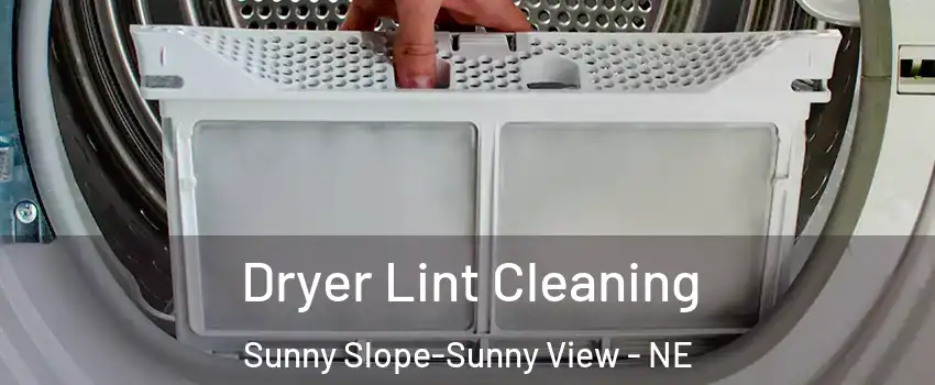 Dryer Lint Cleaning Sunny Slope-Sunny View - NE