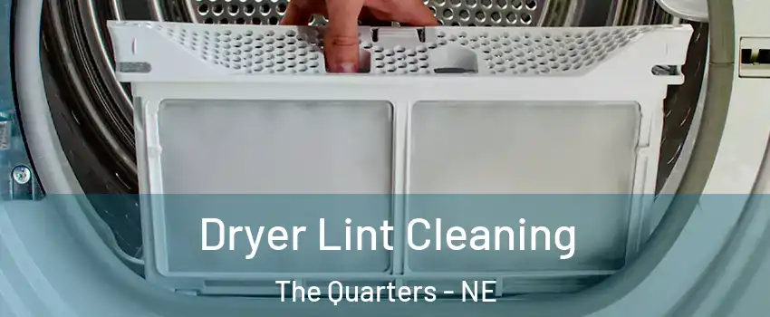 Dryer Lint Cleaning The Quarters - NE
