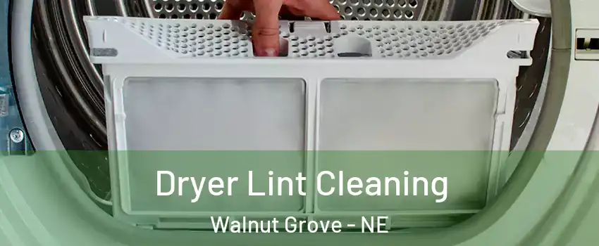 Dryer Lint Cleaning Walnut Grove - NE