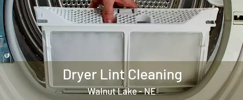 Dryer Lint Cleaning Walnut Lake - NE