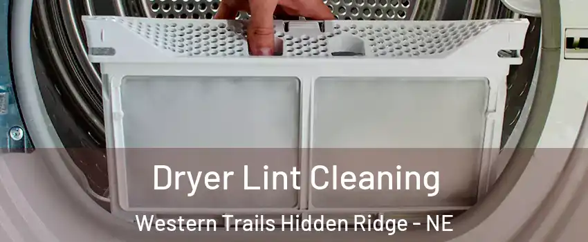 Dryer Lint Cleaning Western Trails Hidden Ridge - NE