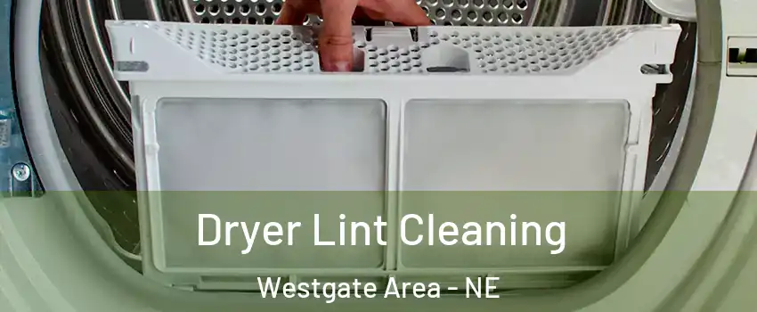 Dryer Lint Cleaning Westgate Area - NE