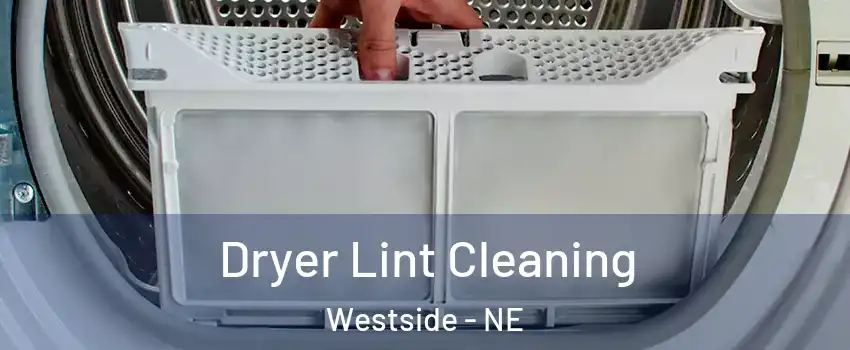 Dryer Lint Cleaning Westside - NE